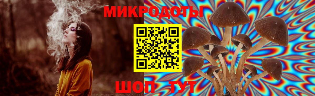 Ливны  Псилоцибиновые грибы мицелий  Вход с VPN 